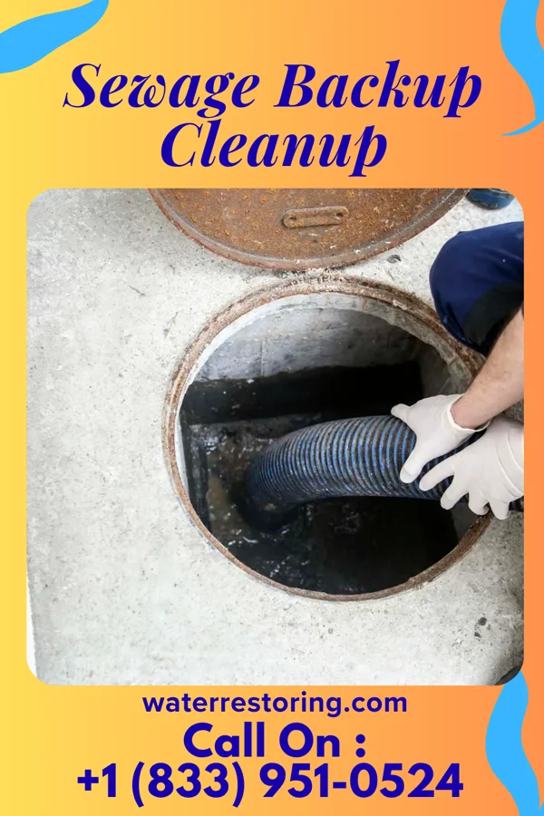 Sewage Backup Cleanup in Albert Lea, MN